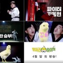 하이킥 태권도장 이미지