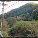 오리개윗골천 이미지