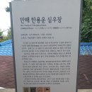 사우로 이미지