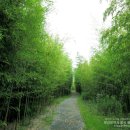 낙동제방 공원관리사무소옆 이미지