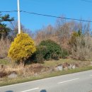 태신부동산 공인중개사사무소 이미지