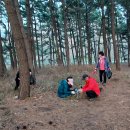정임 - 유성구 대정로28번안길 25 | 정임