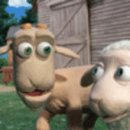 마연농장 이미지