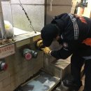 스포렉스 이미지