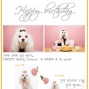 빈빈스튜디오 이미지