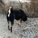 성남동행정복지센터 다목적실 | 알찬 주말｜안산 결혼식, 경주 당일치기 프롬경주·다과와·가마솥족발 등