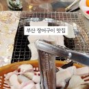 하얀등대이모야