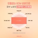 데일리즈의원 이미지