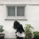 7055 | 아디다스 파이어버드 트랙팬츠 IJ7055 후기 (feat.핀터느낌 코디, 레이어드룩)