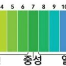 도로시헤어라인 이미지