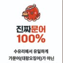 분홍트럭인생타코 네이버블로그