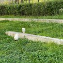 순자추어탕 | [블챌] 체크인 챌린지 : 8월 소소한 일기-1