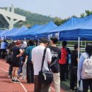 봄,푸드 이미지