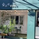 숲소리담은차 이미지