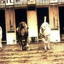 써프라이즈PC방 이미지