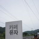 카페 유자 이미지