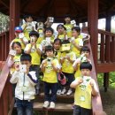 용인자연휴양림3 이미지