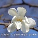 제269회:수산노리이야기(앵봉산·서오릉.&#39;23.3.11) 이미지