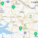 도그마루 강아지고양이 안산점 이미지