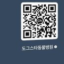 도그스타동물병원 | 수원 동물병원 도그스타 동물병원