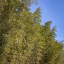 모란 마을회관 이미지