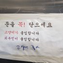 모나캠핑파크 대청마루 이미지