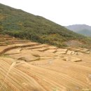 산내면 상황마을 네이버블로그