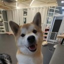 워니시티 이미지