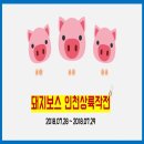 [국내여행] 인천 1박 2일 여행기_프롤로그(일정 및 경비)