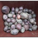 산새랑 게스트하우스 이미지