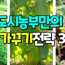 고추,토마토 모종 일찍 안심어도 되는 이유 이미지