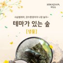 화담갤러리 이미지