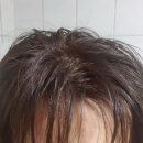 파이모아 임페리얼 헤어칼라 임페리 사용기