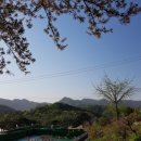 쑥티마을 이미지