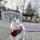 개맥이공원 이미지