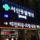 참간판 이미지