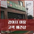 고색애견 이미지