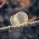 단양군시티투어 | 단양 시티투어버스 도담삼봉 여행 후기｜자연과 절경을 하루에 즐기는 여행