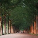 강남매트로빌딩 이미지