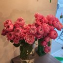 뽀글이헤어앞 | 송도 미용실 추천 <아슈드헤어> 임산부 뿌리염색 + 60대 엄마 머리펌♥