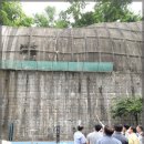 2021.6.10 돈암동 풍림아파트 뒤쪽옹벽 위험 현장방문 이미지