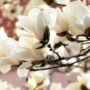 (유)승하 이미지