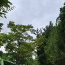 체육공원로 이미지