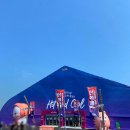 보령머드36 | 2025 보령 머드축제 솔직후기 (기본 정보, 꿀팁, 준비물, 물품 보관함)