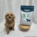 퍼피엔죽 | 사료의 기준을 다시 세운 "이즈칸" - [이즈칸]의 신제품! 독 어덜트 밸런스 급여 후기