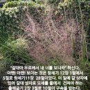 갈대아 우르에서 내 너를 보니라 이미지