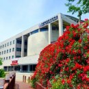 가톨릭꽃동네대학교 이미지