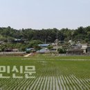 조개섬 이미지