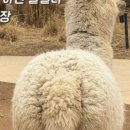 나리목장2 이미지