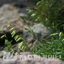 한라전설(주) 이미지